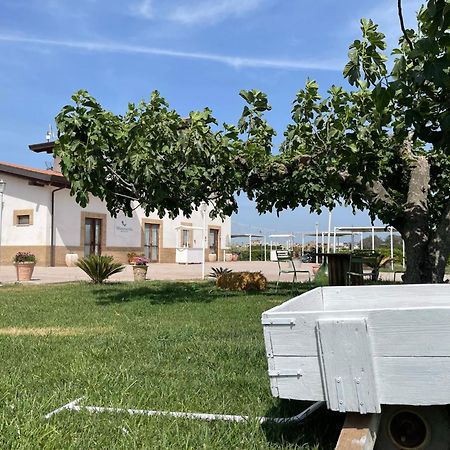 La Massaria Agriresort Orta Nova ภายนอก รูปภาพ