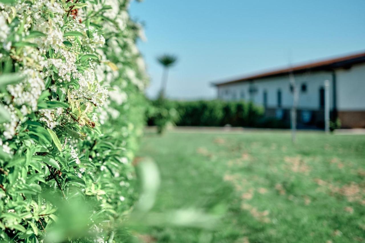 La Massaria Agriresort Orta Nova ภายนอก รูปภาพ