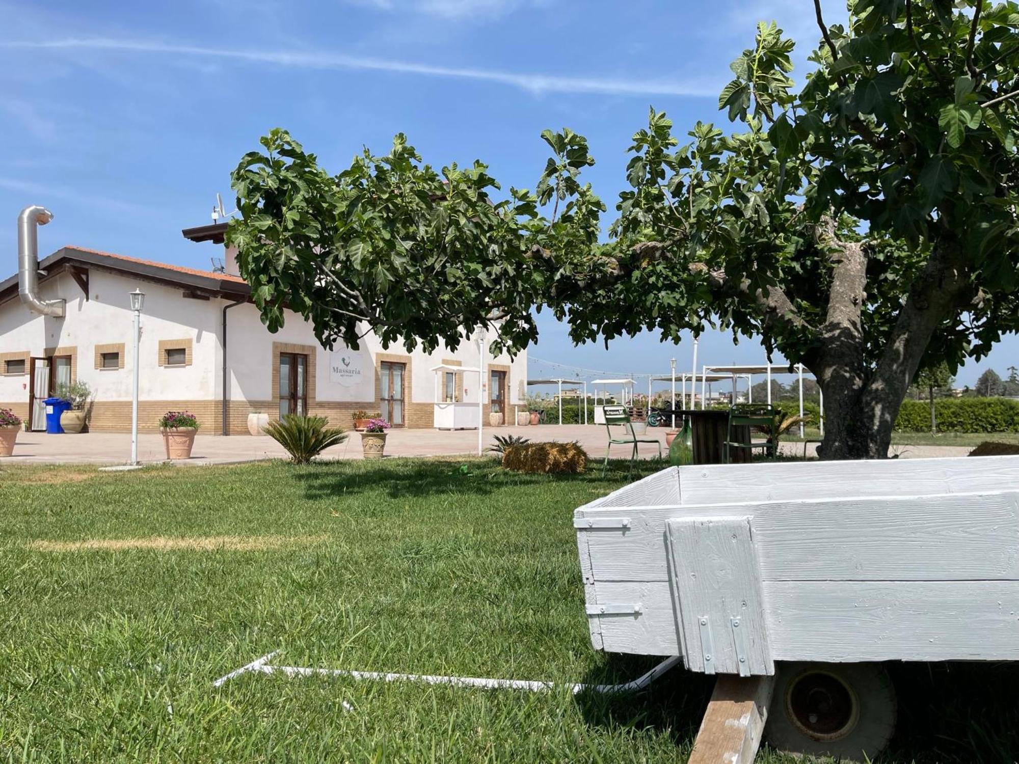 La Massaria Agriresort Orta Nova ภายนอก รูปภาพ