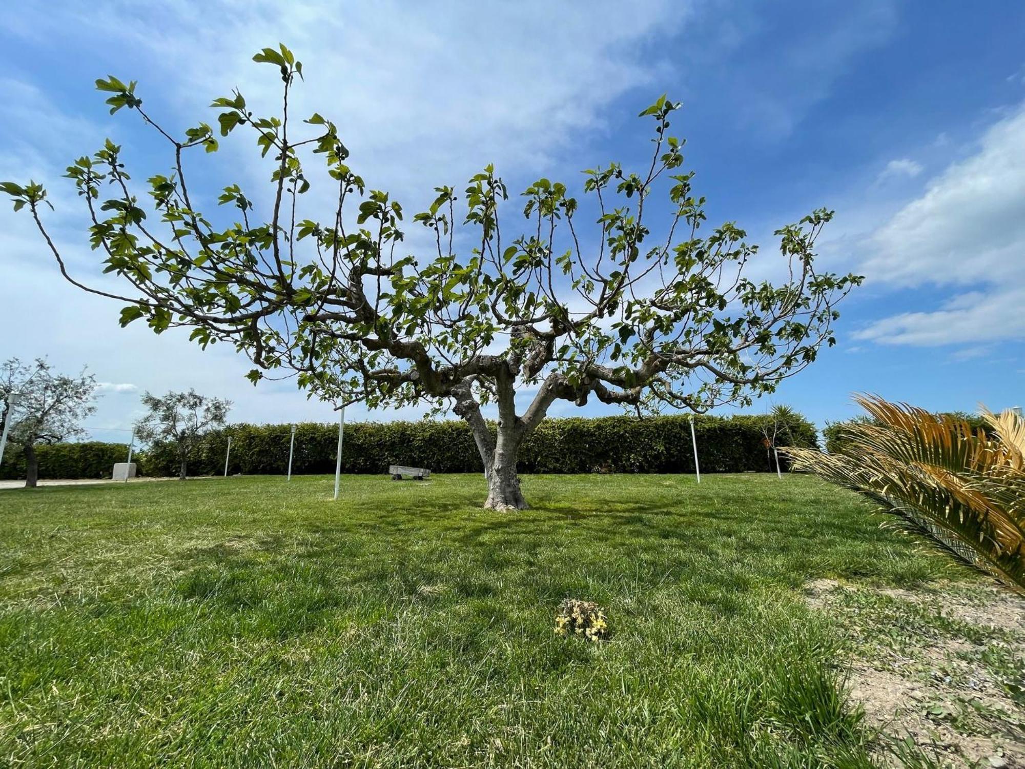 La Massaria Agriresort Orta Nova ภายนอก รูปภาพ