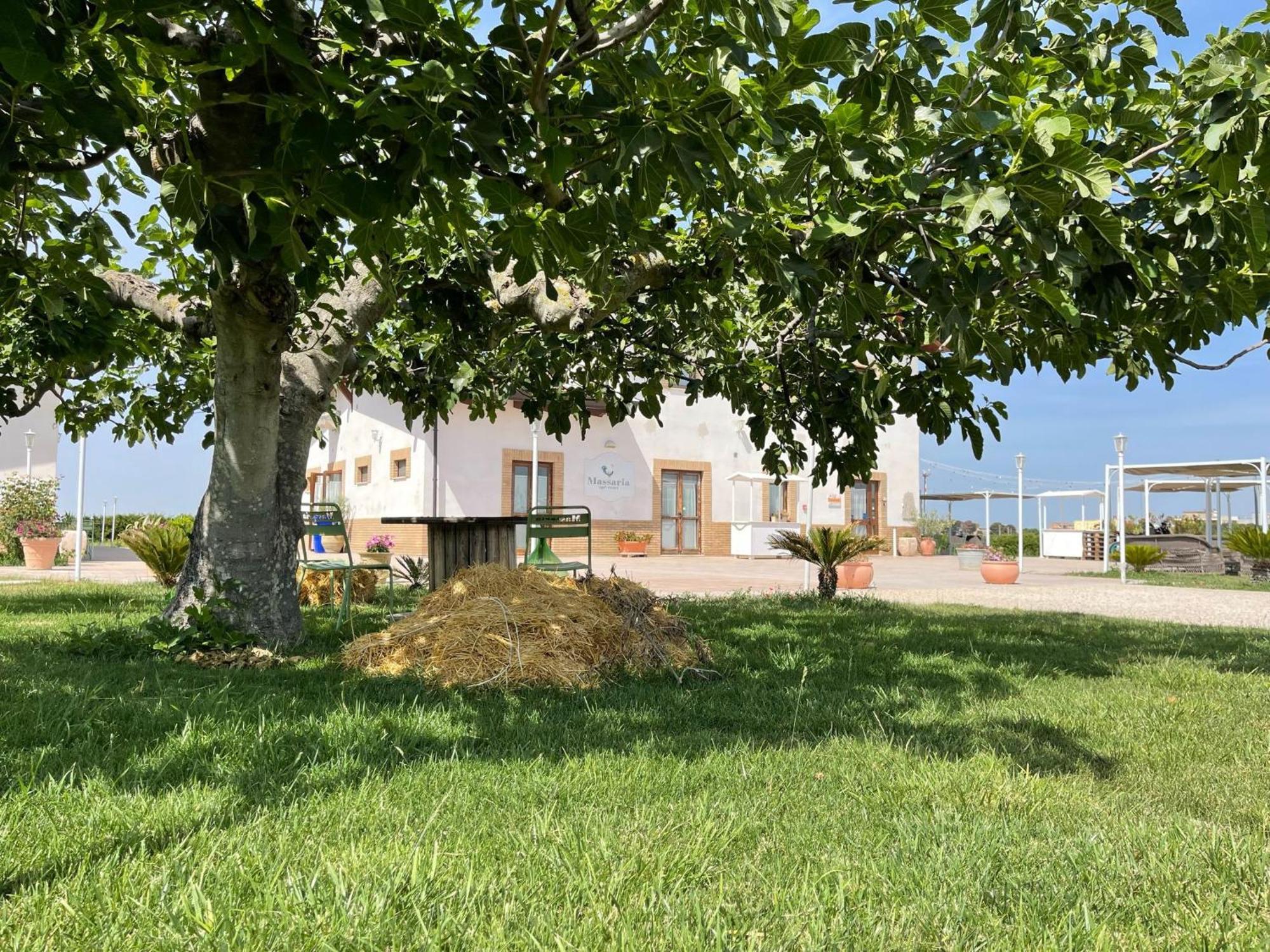 La Massaria Agriresort Orta Nova ภายนอก รูปภาพ